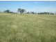 167 Sussex Lane, Cudal NSW 2864