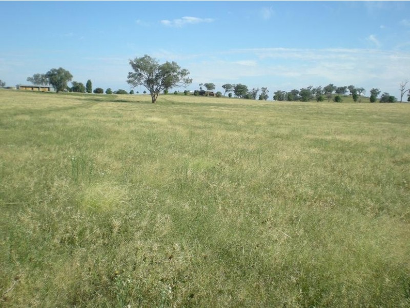 167 Sussex Lane, Cudal NSW 2864