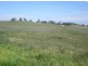 167 Sussex Lane, Cudal NSW 2864