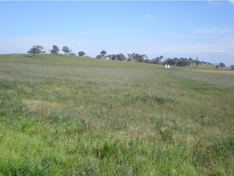 167 Sussex Lane, Cudal NSW 2864