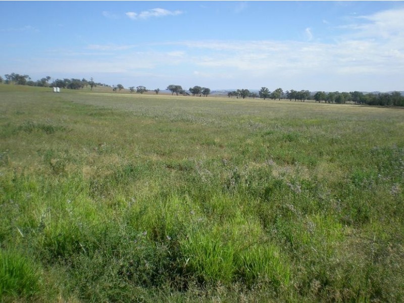 167 Sussex Lane, Cudal NSW 2864