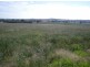 167 Sussex Lane, Cudal NSW 2864