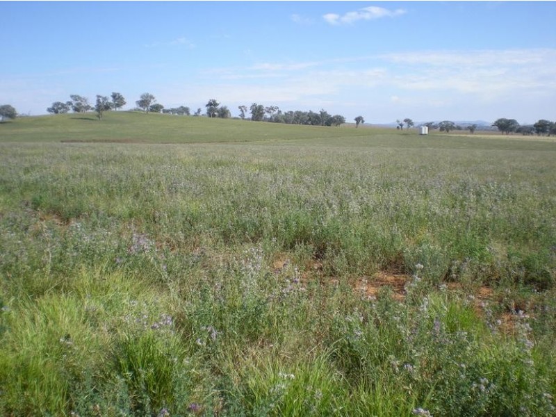 167 Sussex Lane, Cudal NSW 2864
