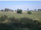 167 Sussex Lane, Cudal NSW 2864