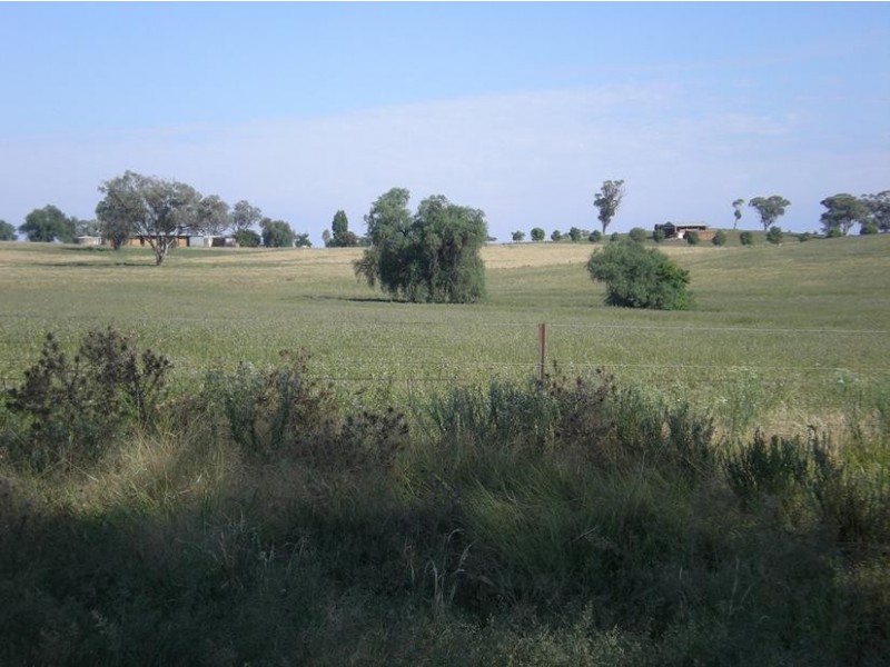 167 Sussex Lane, Cudal NSW 2864