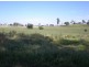 167 Sussex Lane, Cudal NSW 2864