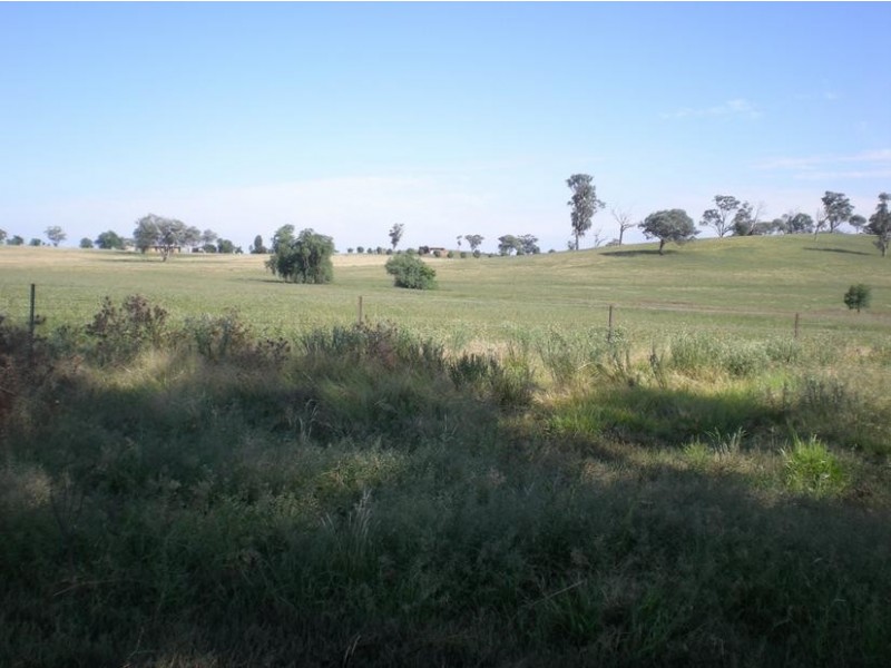 167 Sussex Lane, Cudal NSW 2864