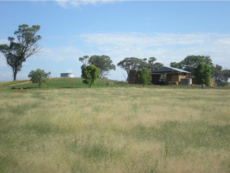 167 Sussex Lane, Cudal NSW 2864