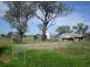 167 Sussex Lane, Cudal NSW 2864