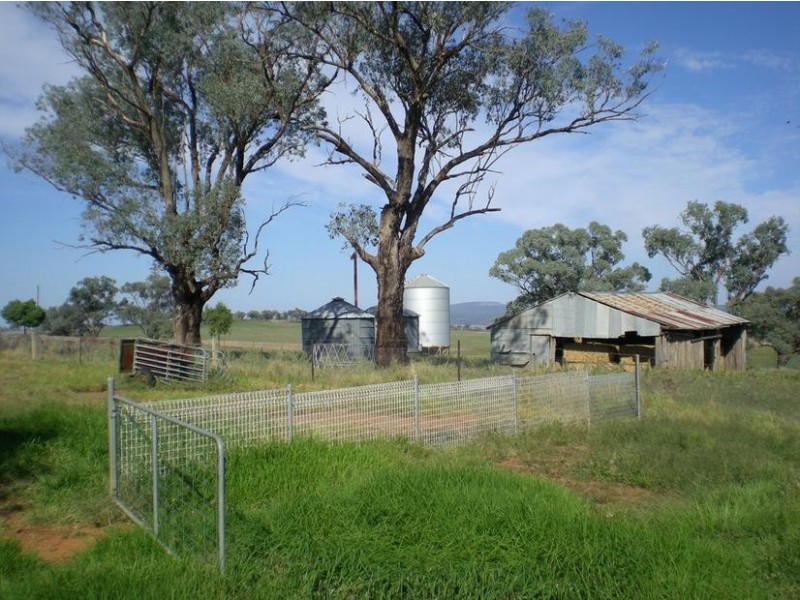 167 Sussex Lane, Cudal NSW 2864