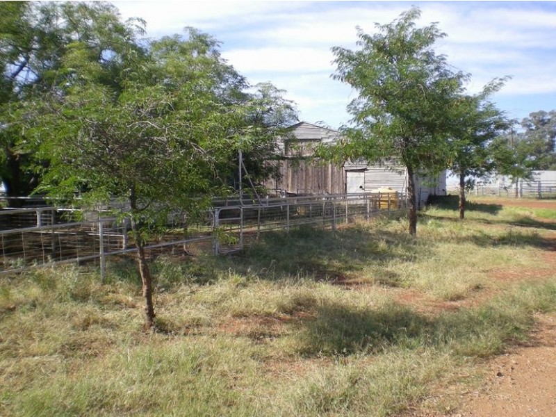 167 Sussex Lane, Cudal NSW 2864
