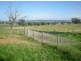 167 Sussex Lane, Cudal NSW 2864