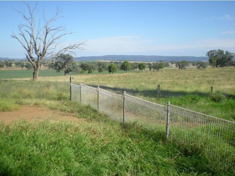 167 Sussex Lane, Cudal NSW 2864