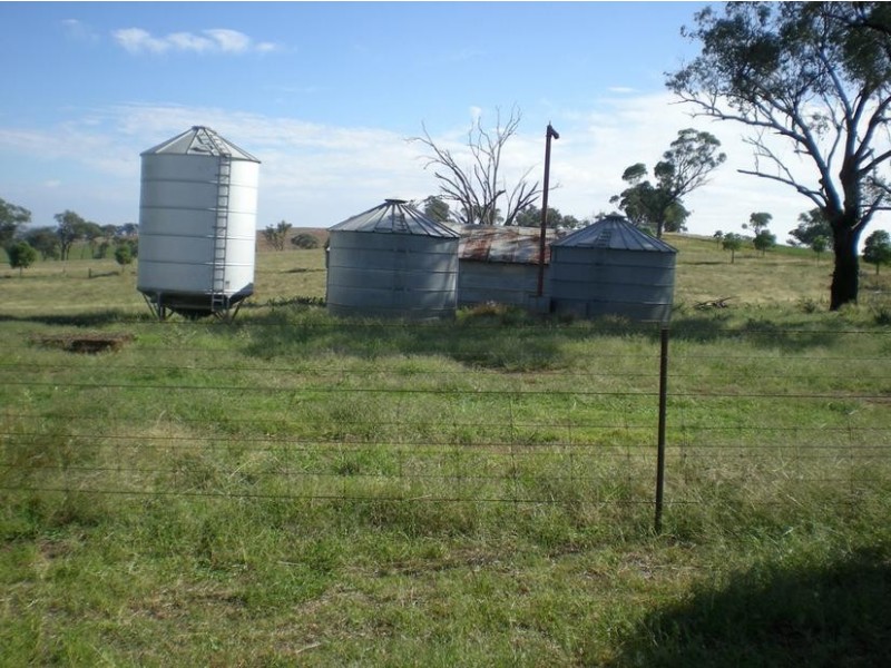 167 Sussex Lane, Cudal NSW 2864