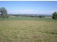 167 Sussex Lane, Cudal NSW 2864