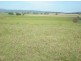 167 Sussex Lane, Cudal NSW 2864