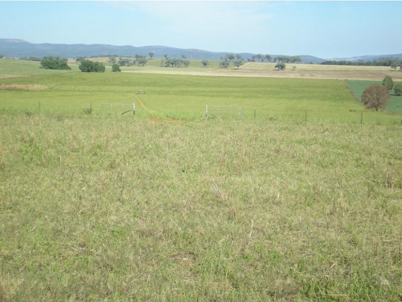 167 Sussex Lane, Cudal NSW 2864