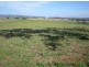 167 Sussex Lane, Cudal NSW 2864