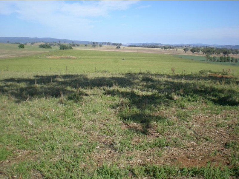 167 Sussex Lane, Cudal NSW 2864