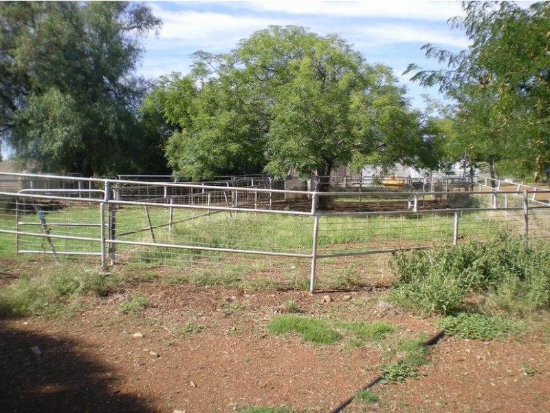 167 Sussex Lane, Cudal NSW 2864