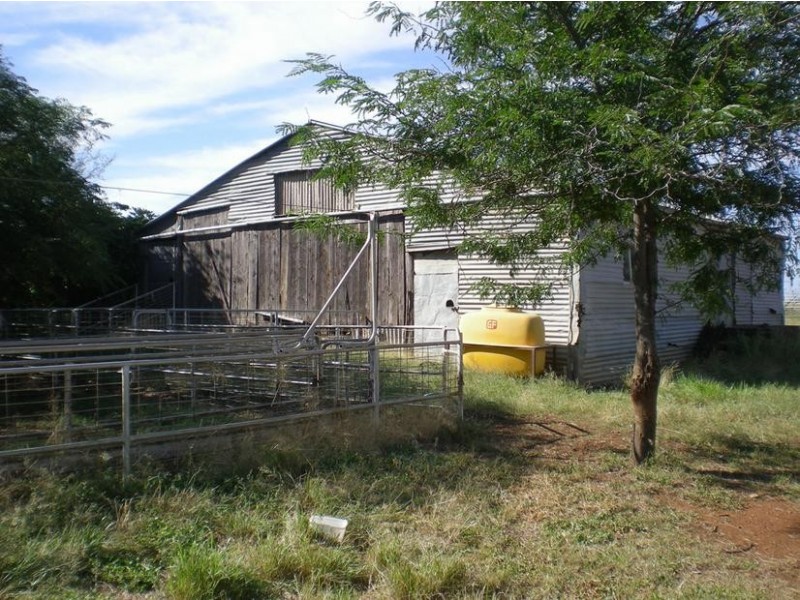 167 Sussex Lane, Cudal NSW 2864