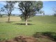 167 Sussex Lane, Cudal NSW 2864