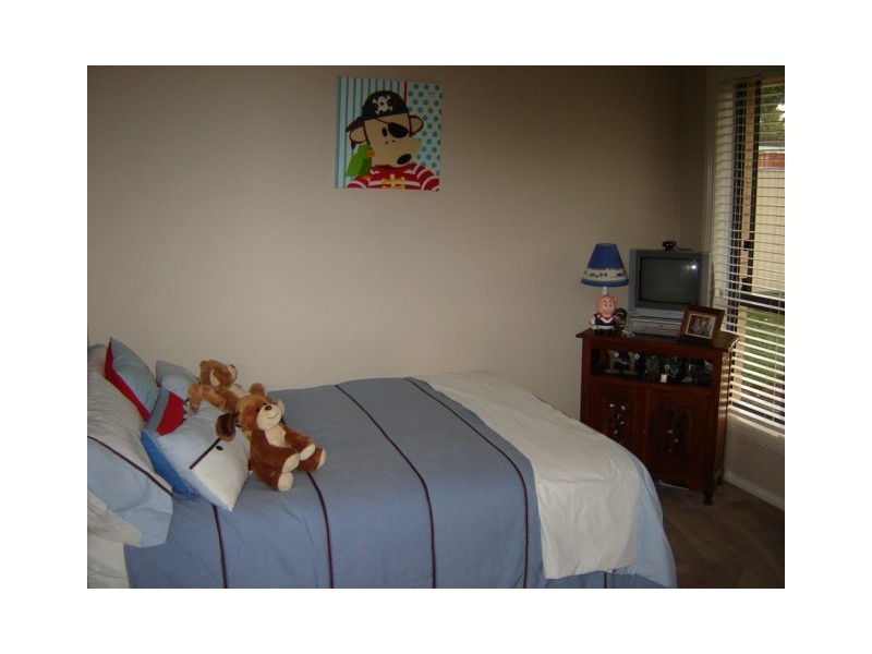 17 Raphael Street, Blayney NSW 2799