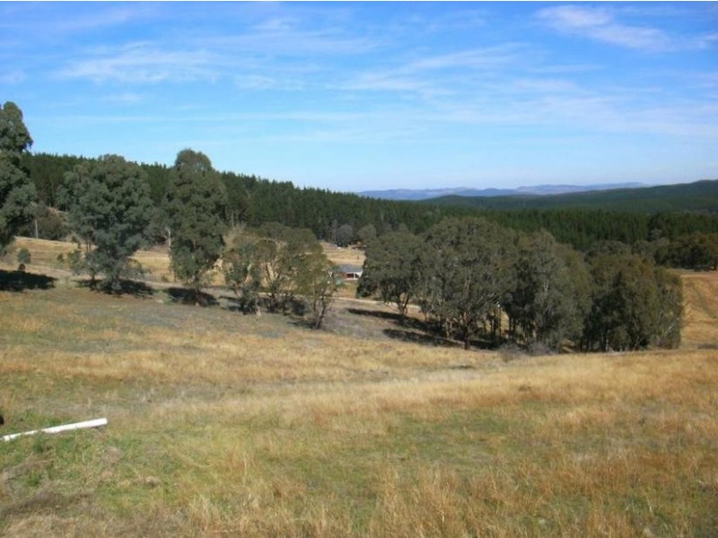 Lot 8, – Kentucky Road, Neville NSW 2799