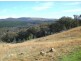 Lot 8, – Kentucky Road, Neville NSW 2799