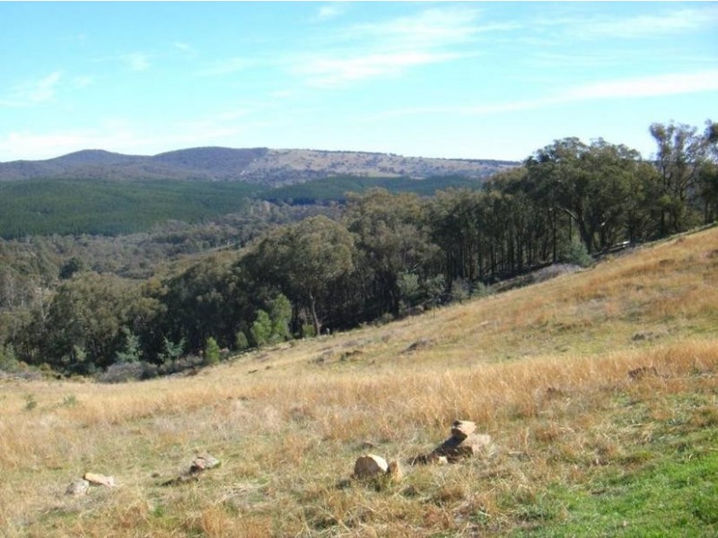 Lot 8, – Kentucky Road, Neville NSW 2799