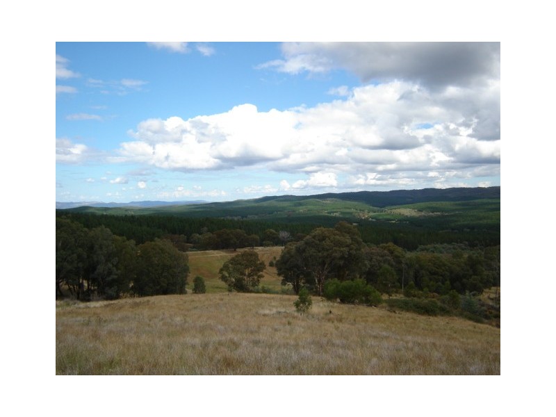 Lot 8, – Kentucky Road, Neville NSW 2799