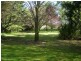 146 Forest Road, Spring Hill NSW 2800