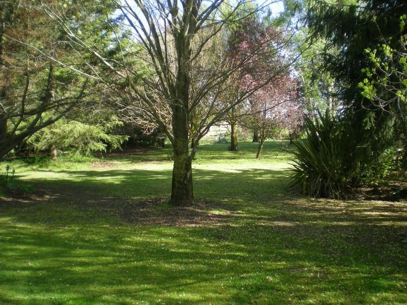 146 Forest Road, Spring Hill NSW 2800