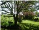 146 Forest Road, Spring Hill NSW 2800