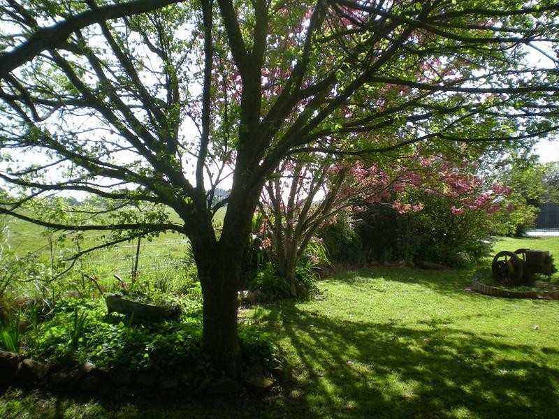 146 Forest Road, Spring Hill NSW 2800