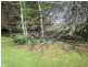 146 Forest Road, Spring Hill NSW 2800