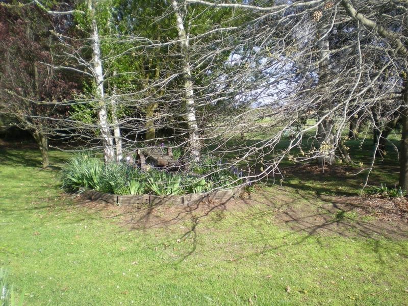 146 Forest Road, Spring Hill NSW 2800