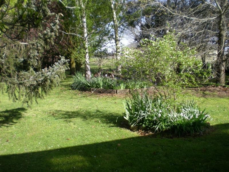 146 Forest Road, Spring Hill NSW 2800