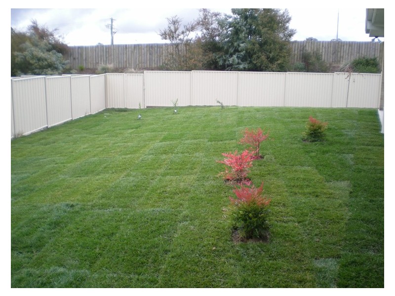 55 Botanic Way, Orange NSW 2800