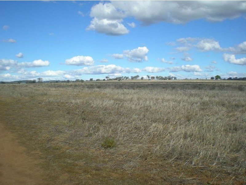 310 Gregra Road, Manildra NSW 2865