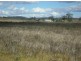 310 Gregra Road, Manildra NSW 2865