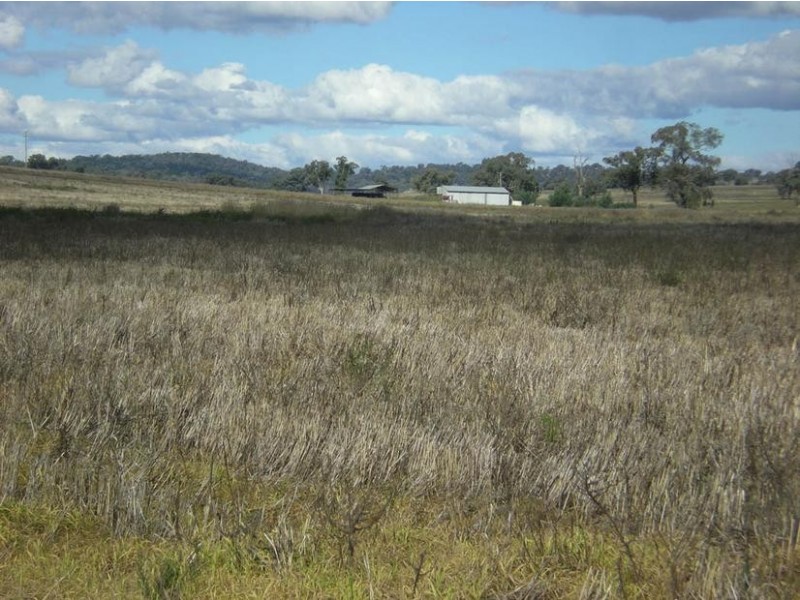 310 Gregra Road, Manildra NSW 2865