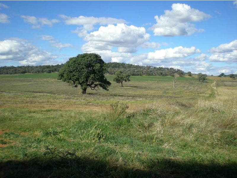 310 Gregra Road, Manildra NSW 2865