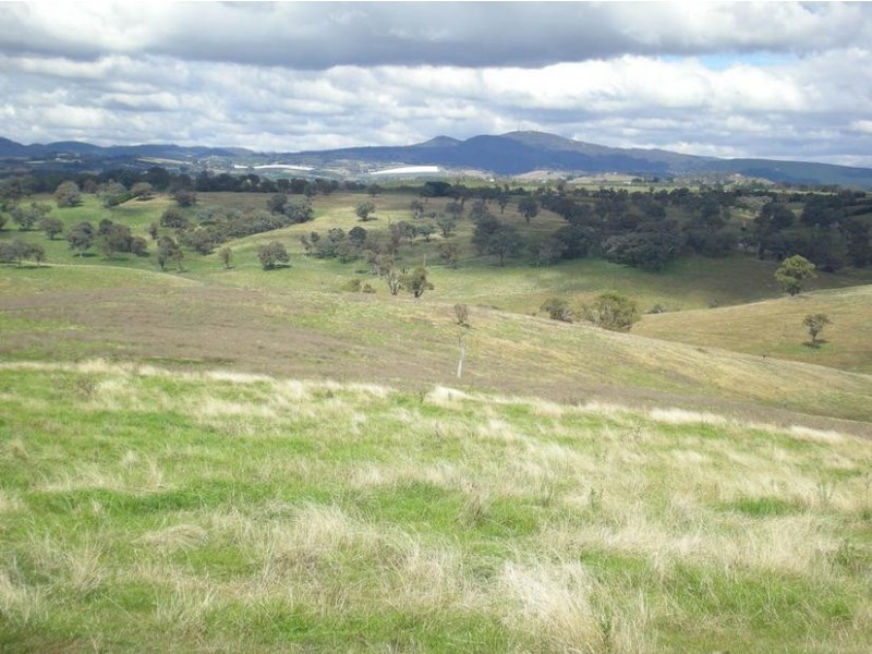 - Griffin Road, Orange NSW 2800