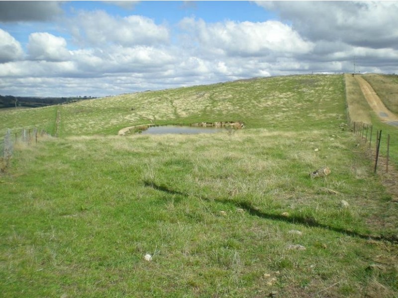 - Griffin Road, Orange NSW 2800