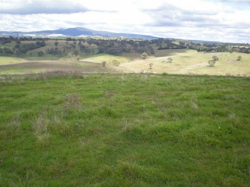 - Griffin Road, Orange NSW 2800