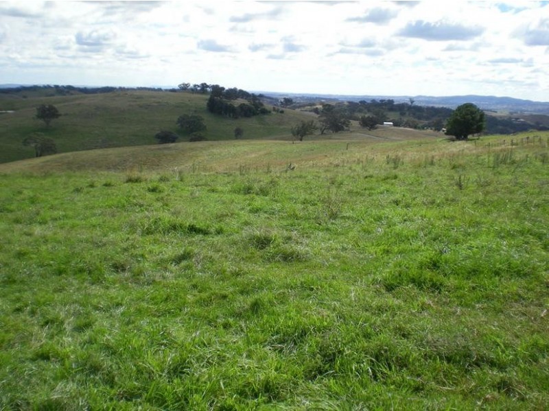 - Griffin Road, Orange NSW 2800