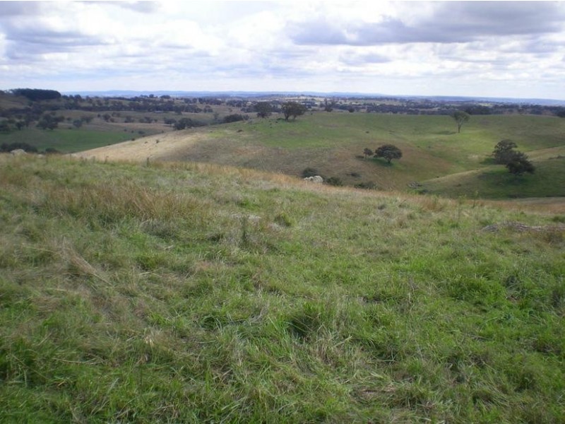 - Griffin Road, Orange NSW 2800