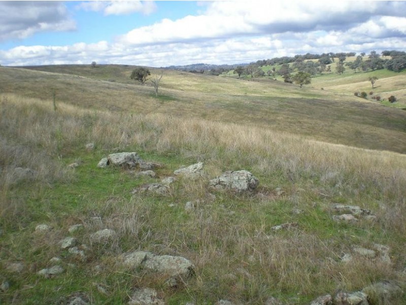 - Griffin Road, Orange NSW 2800