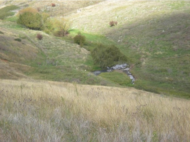 - Griffin Road, Orange NSW 2800